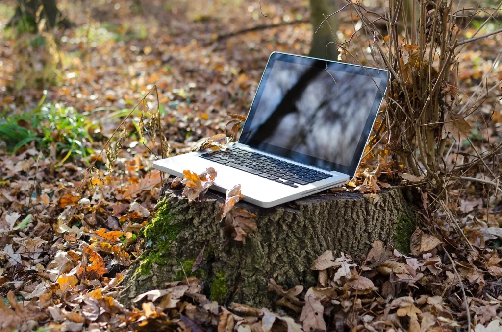 Laptop på en stubbe i skogsmiljö