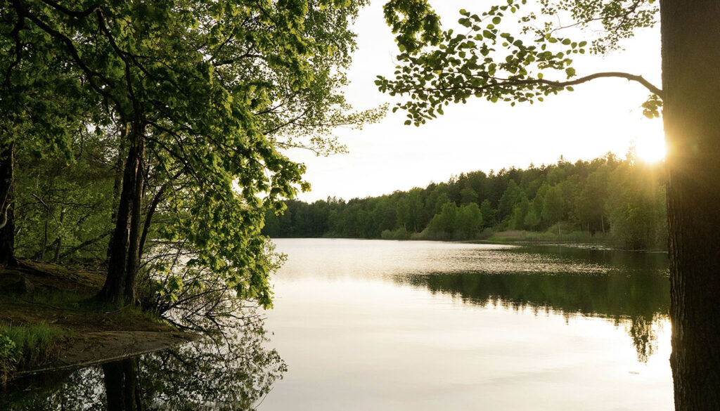 Solnedgång över sjö